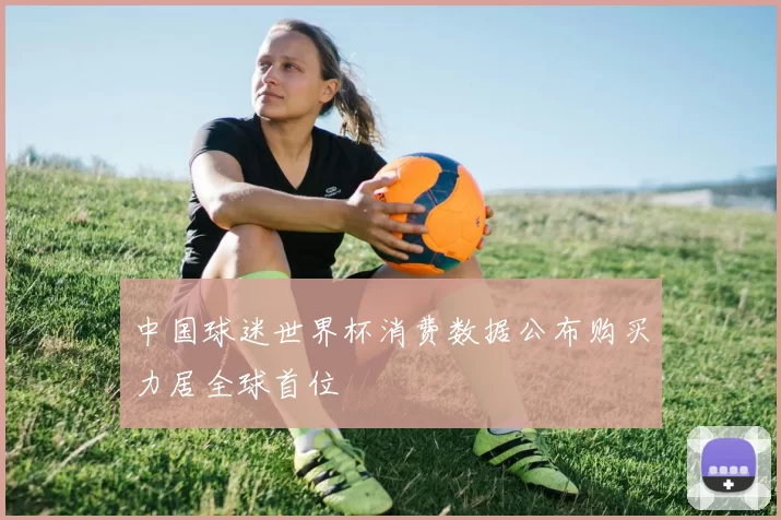 中国球迷世界杯消费数据公布购买力居全球首位